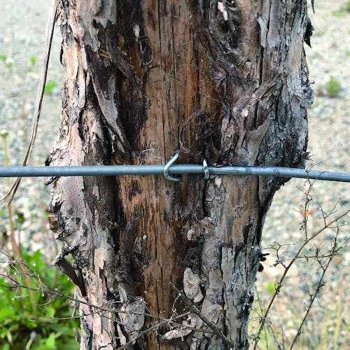 CAINZ-DASH】ダイドーハント HP 又釘 1．2×16 90本入 10183119