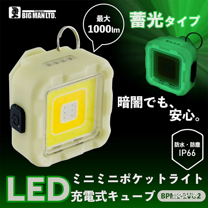 ビックマン Bigman LEDミニミニポケットライト 蓄光