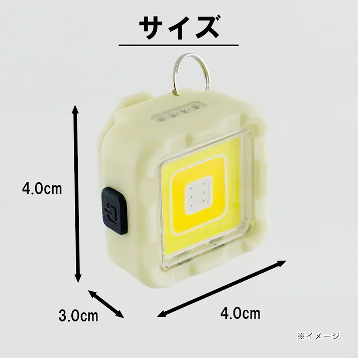 ビックマン Bigman LEDミニミニポケットライト 蓄光