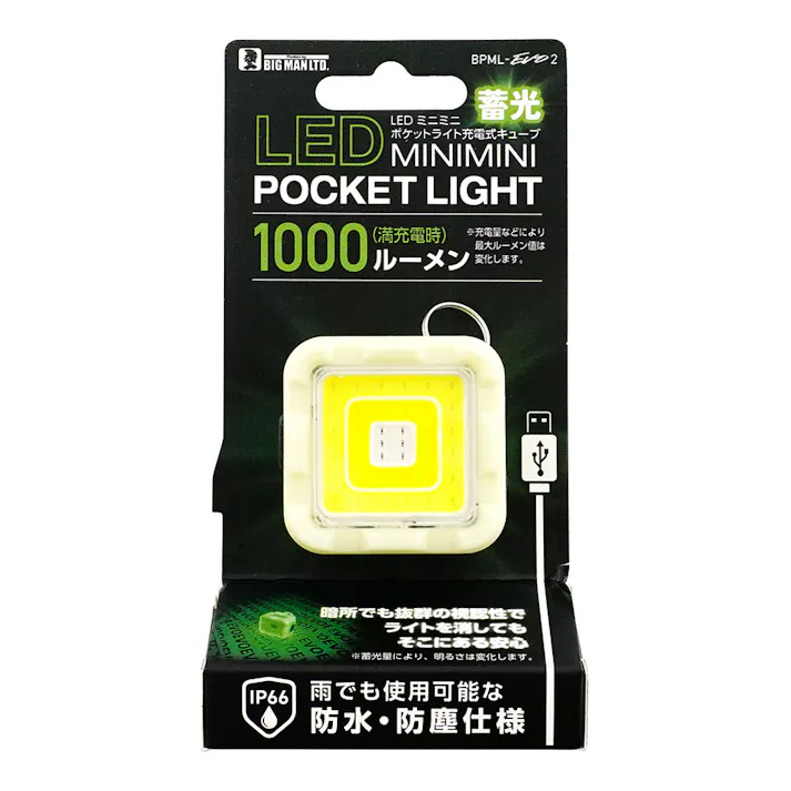 ビックマン Bigman LEDミニミニポケットライト 蓄光