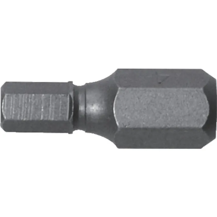 【CAINZ-DASH】兼古製作所 溝付超短六角レンチビット1本組 対辺4×19 AK-51P-H4-19【別送品】