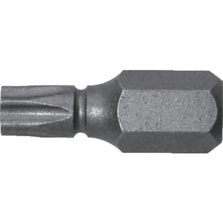 【CAINZ-DASH】兼古製作所 溝付超短ヘクスローブビット1本組 T25×19 (穴付) AK-51P-T25-19【別送品】