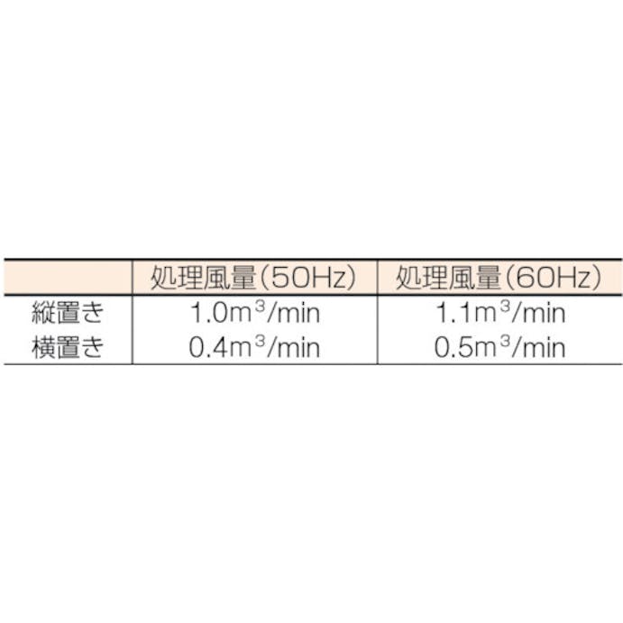 【CAINZ-DASH】白光 ハッコーＦＡ－４００　１００Ｖ　２極接地プラグ FA400-01【別送品】