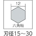 【CAINZ-DASH】スターエム ロングドリル　刃径２１．０ｍｍ　シャンク径１２ｍｍ　全長５００ｍｍ 5L-210【別送品】