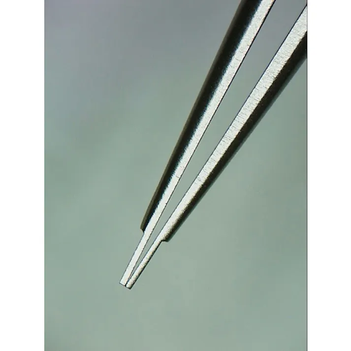 【CAINZ-DASH】ホーザン ピンセット 110mm P-873【別送品】