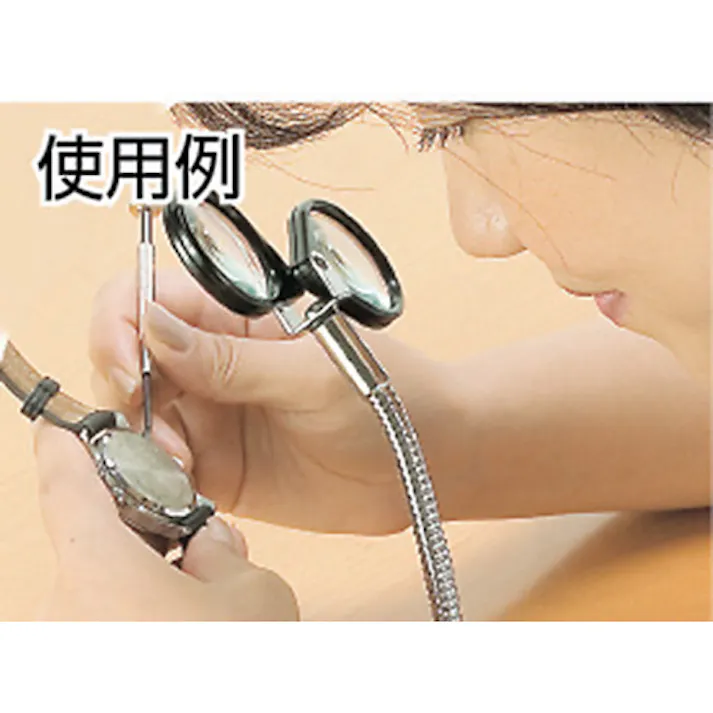 【CAINZ-DASH】池田レンズ工業 スタンドルーペ 1645【別送品】