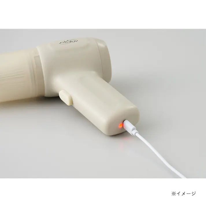 アピックス ハンディクリーナー AHR-606