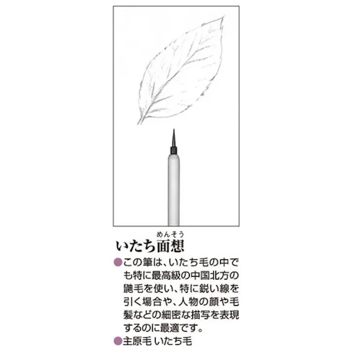 【CAINZ-DASH】あかしや 筆 いたち面想(小) PN-19【別送品】