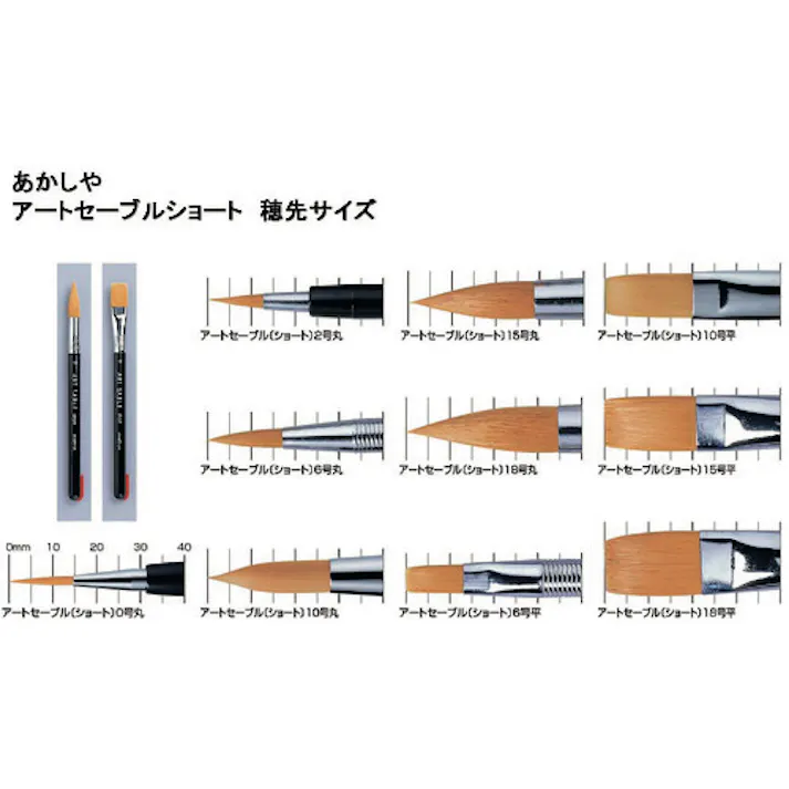 【CAINZ-DASH】あかしや アートセーブルショート 丸筆 15号 GASR#15S【別送品】