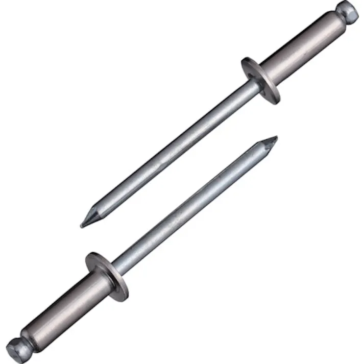 【CAINZ-DASH】ロブテックス ブラインドリベット(ステンレス/スティール製) 6-6(1000本入) 箱入 NSS66【別送品】