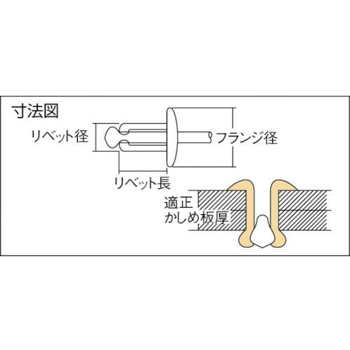 CAINZ-DASH】ロブテックス ブラインドリベット（ステンレス