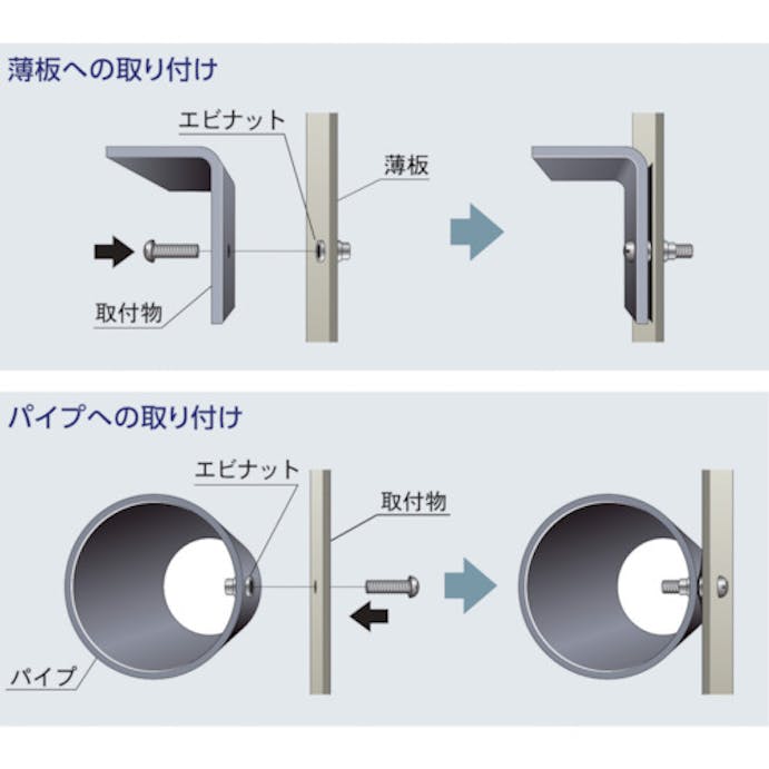 【CAINZ-DASH】ロブテックス ブラインドナット“エビナット”（薄頭・スティール製）　板厚４．０　Ｍ１０×１．５（５００個入） NSK10M【別送品】