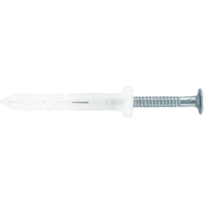 【CAINZ-DASH】ロブテックス ネイルプラグ(ステンレス) 200本入 4-25 SNP425【別送品】