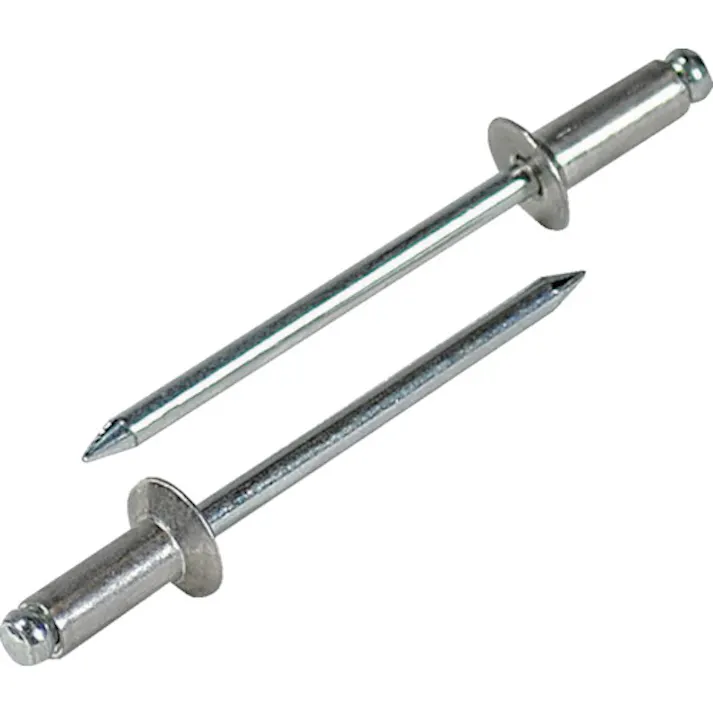 【CAINZ-DASH】ロブテックス ブラインドリベット・皿頭 アルミ/スティール 4-6 (1000本入) NSA46K【別送品】