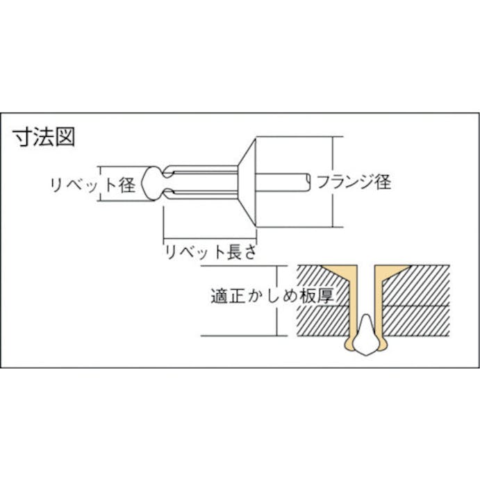 【CAINZ-DASH】ロブテックス ブラインドリベット・皿頭　アルミ／スティール　６－２　（１０００本入） NSA62K【別送品】