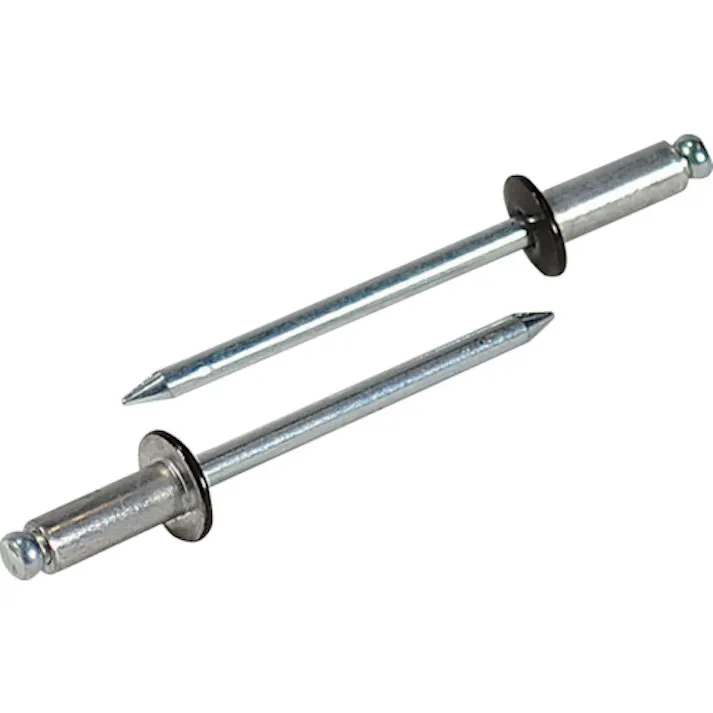 【CAINZ-DASH】ロブテックス カラーリベット ブロンズ 5-3 (1000本入) CNSA53BR【別送品】