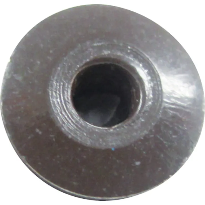 【CAINZ-DASH】ロブテックス カラーリベット ブロンズ 5-3 (1000本入) CNSA53BR【別送品】