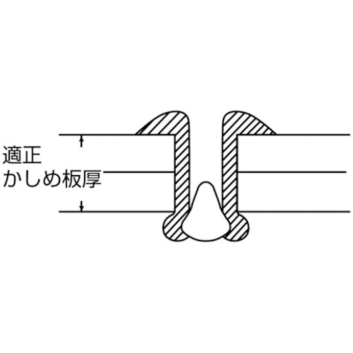 【CAINZ-DASH】ロブテックス カラーリベット　ホワイト　５－２　（１０００本入） CNSA52W【別送品】