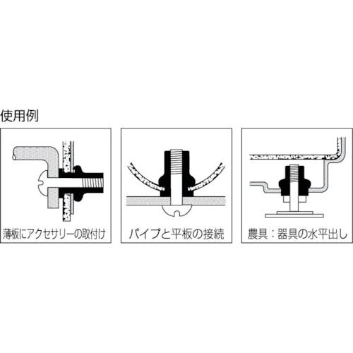 CAINZ-DASH】ロブテックス ブラインドナット“エビナット”（薄頭