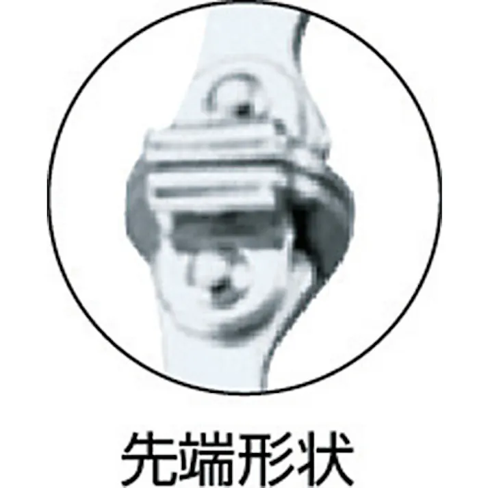 【CAINZ-DASH】ロブテックス バイスプライヤー C型(皿付) 165mm VC150S【別送品】