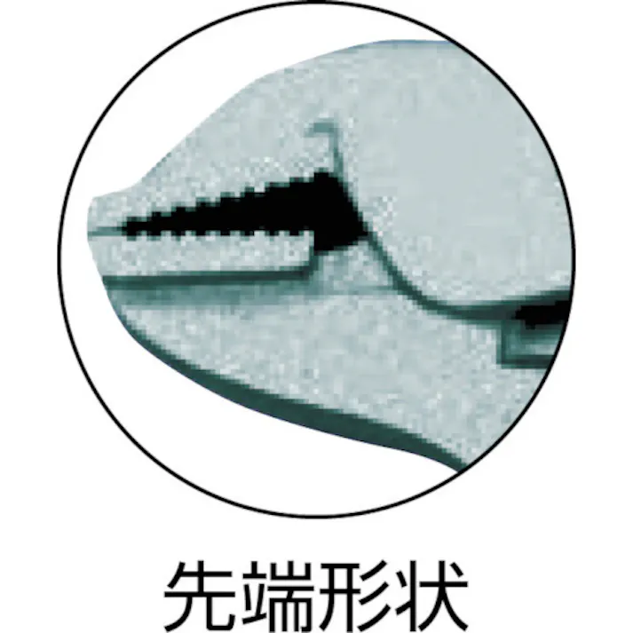 【CAINZ-DASH】ロブテックス バイスプライヤー ストレートタイプ 216mm V250N【別送品】