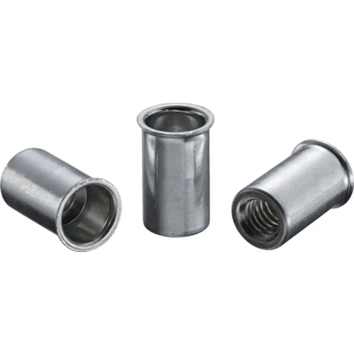 【CAINZ-DASH】ロブテックス ブラインドナット“エビナット”(薄頭・スティール製) 板厚2.5 M6×1.0(1000個入) NSK625M【別送品】