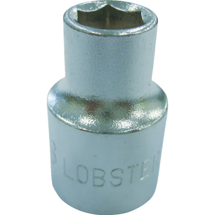 【CAINZ-DASH】ロブテックス ソケット 6角 6.0mm 差込角9.5mm LM306S【別送品】