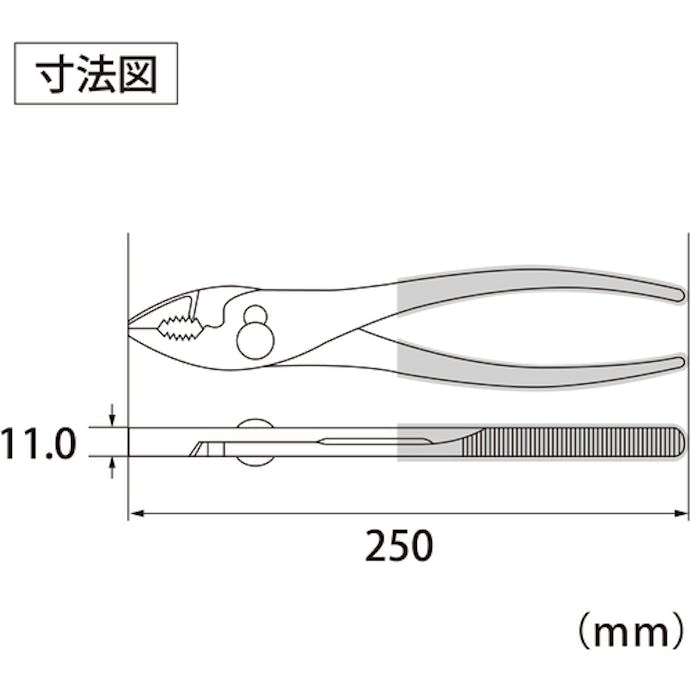 【CAINZ-DASH】ロブテックス プライヤー　スケルトン　グリーン２００ｍｍ SP200G【別送品】