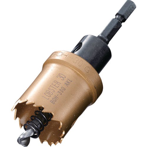 【CAINZ-DASH】ロブテックス バイメタルホルソー　３１ｍｍ　六角軸 BOH31G【別送品】