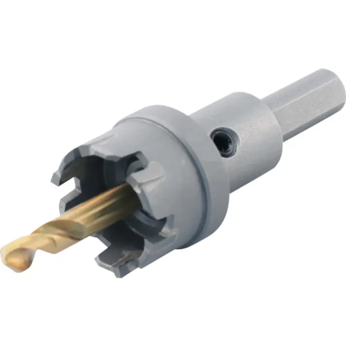 【CAINZ-DASH】ロブテックス 超硬ホルソー(薄板用) 刃径25mm HO-25S【別送品】