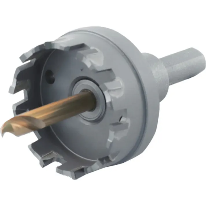 【CAINZ-DASH】ロブテックス 超硬ホルソー(薄板用) 刃径42mm HO-42S【別送品】