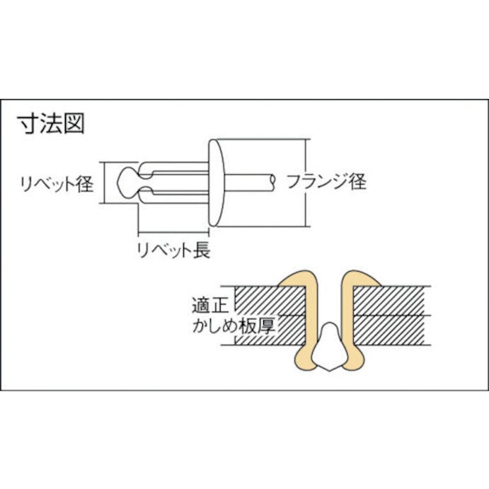 【CAINZ-DASH】ロブテックス ブラインドリベット（ステンレス／ステンレス製）　４－１（３００本入）　エコＢＯＸ NST41EB【別送品】