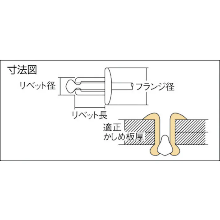 【CAINZ-DASH】ロブテックス ブラインドリベット(ステンレス/スティール製) 8-8(100本入) エコBOX NSS 88EB【別送品】