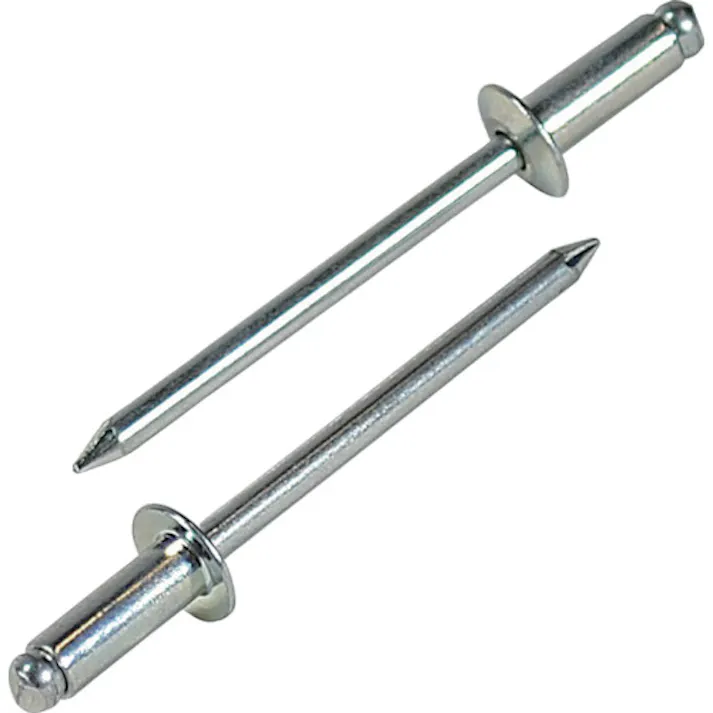 【CAINZ-DASH】ロブテックス ブラインドリベット(スティール/スティール製) 6-2(150本入) エコBOX NS62EB【別送品】