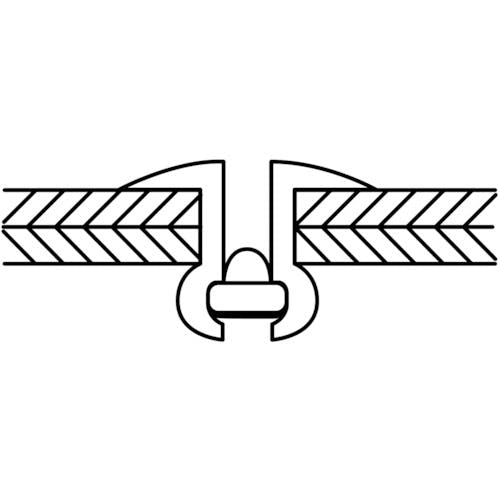 CAINZ-DASH】ロブテックス ブラインドリベット・ラージフランジ エコ