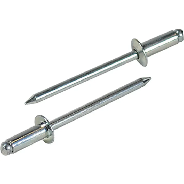 【CAINZ-DASH】ロブテックス ブラインドリベット(スティール/スティール製) 4-2(300本入) エコBOX NS42EB【別送品】