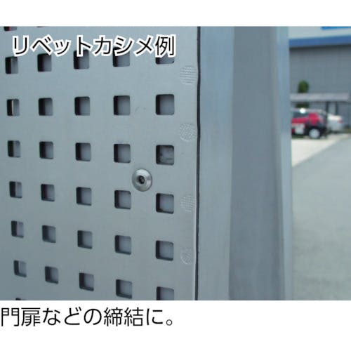 CAINZ-DASH】ロブテックス ブラインドリベット（アルミ／アルミ製） 6