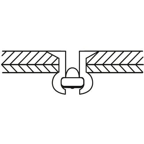 CAINZ-DASH】ロブテックス ブラインドリベット（皿頭） アルミニウム