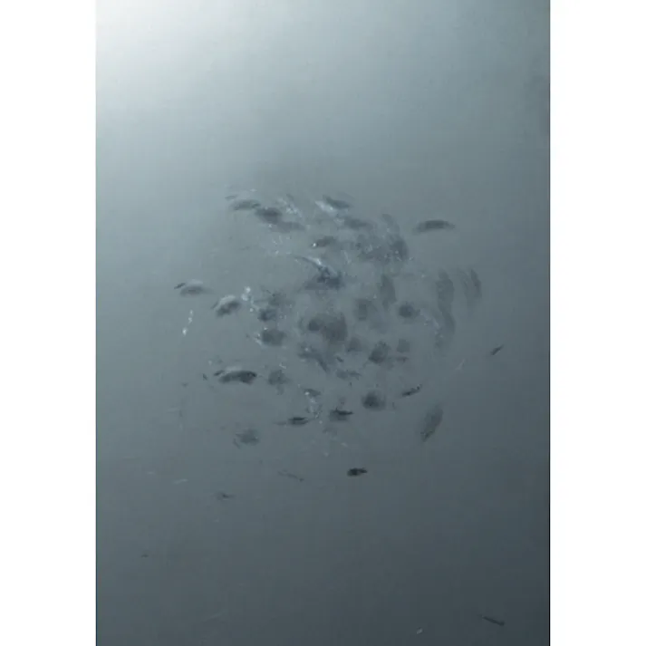 【CAINZ-DASH】オーエッチ工業 フラット板金ハンマー小口径(横ナラシ)#1/2 FBYS-05【別送品】