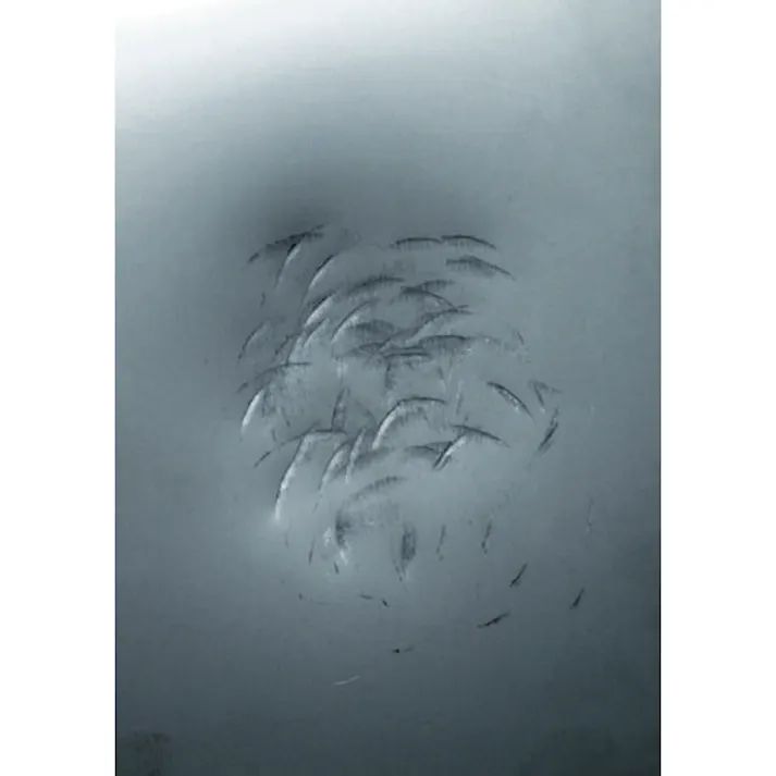 【CAINZ-DASH】オーエッチ工業 フラット板金ハンマー小口径(横ナラシ)#1-1/2 FBYS-15【別送品】