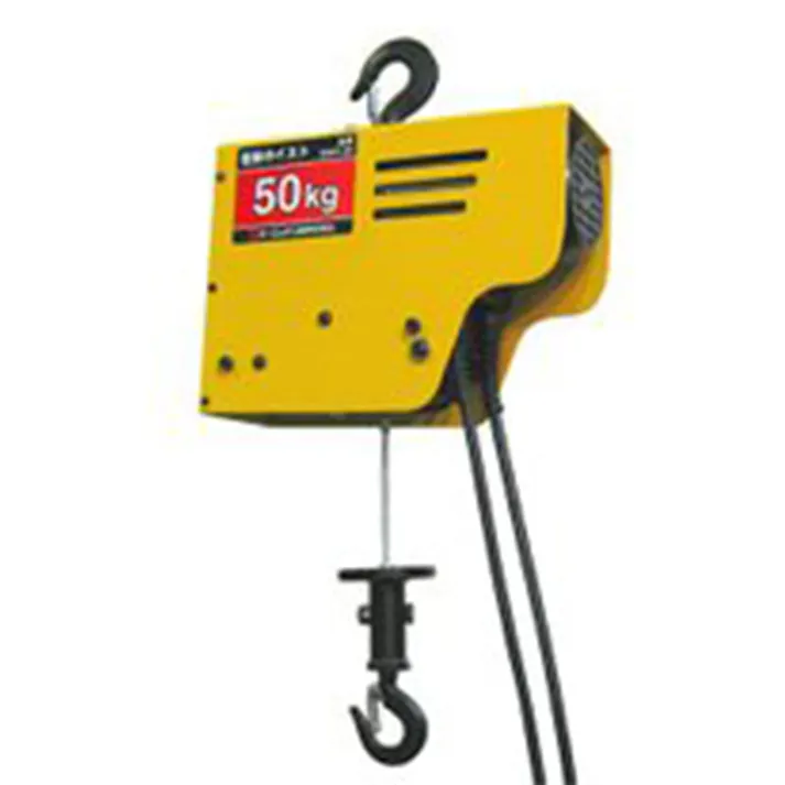 オーエッチ工業 OH 電動ワイヤーホイスト 50kg 10m DWH-50