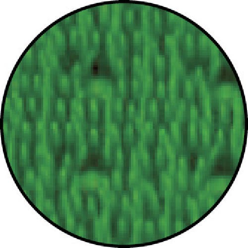 KMNZ マット CAINZ-DASH】ミヅシマ工業 エルバーマット 510×810mm ブルー