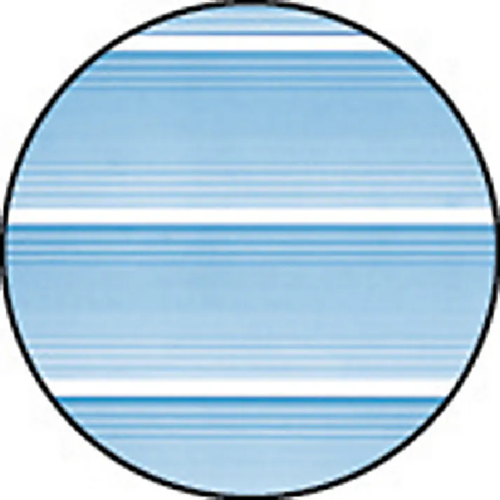 【CAINZ-DASH】ミヅシマ工業 ストレートスノコ#85 600X850mm ブルー 430-0300【別送品】