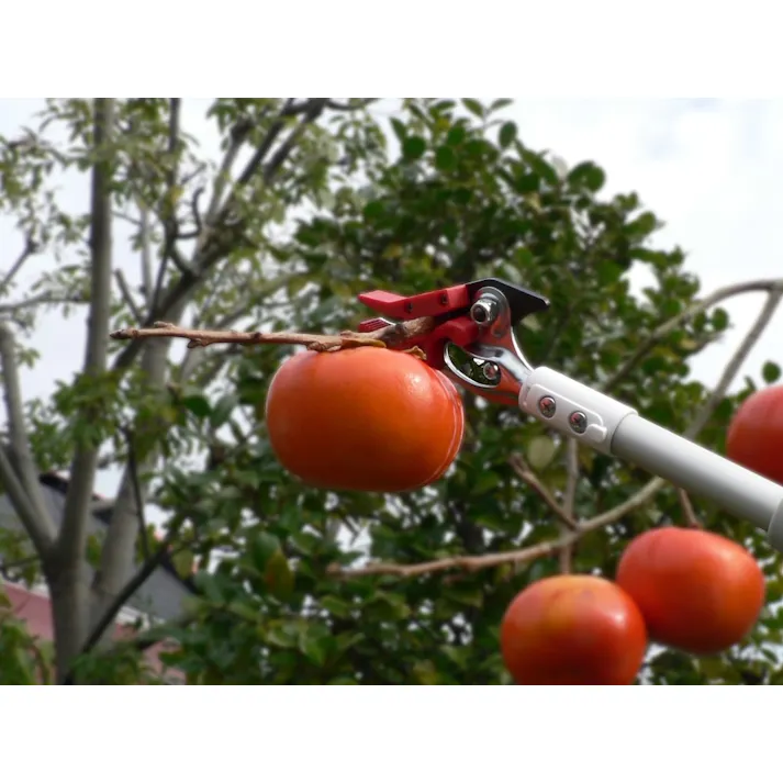 アルス ライトチョキズーム 150Z-3.0-5D