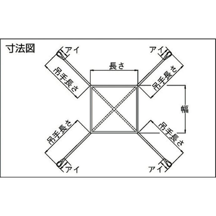 【CAINZ-DASH】丸善織物 トラッシュシート　４点フックタイプ　３Ｍ角 TS-30B【別送品】