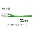 【CAINZ-DASH】丸善織物 ポリエステルスリングライト　２５ｍｍｘ２ｍ PSL25-20【別送品】