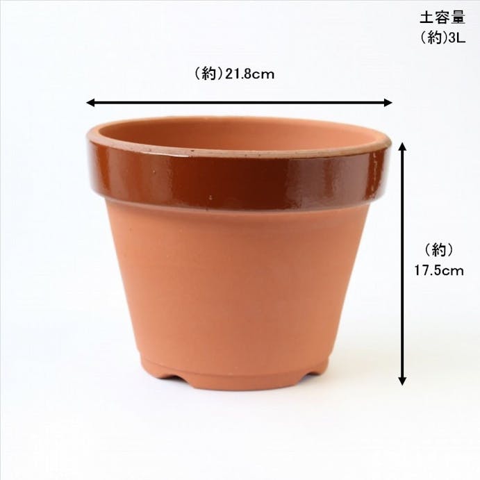 店舗限定 駄温鉢深 7号 ホームセンター通販 カインズ 店舗限定 駄温鉢深 7号 ホームセンター通販 カインズ