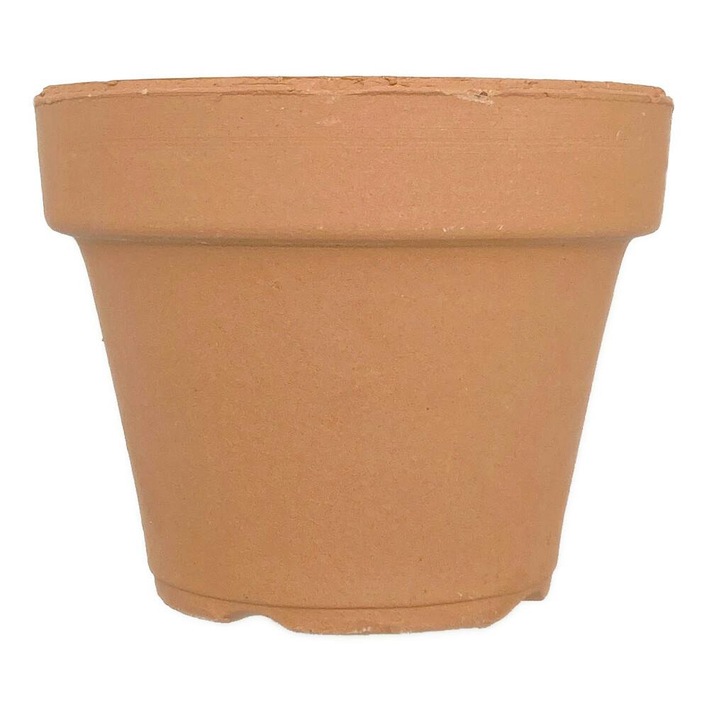 キバチフカ 4号