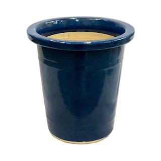 生子ケンガイ 9号