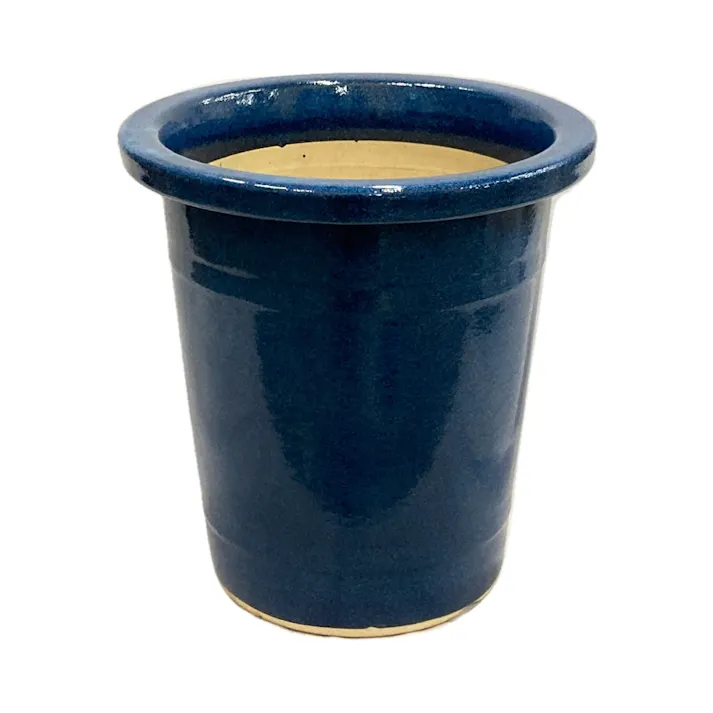 生子ケンガイ 10号